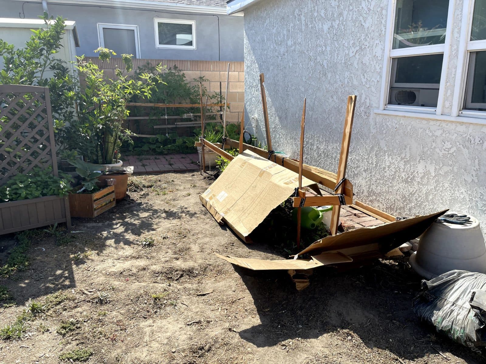 Richard vouches for Always Green Synthetic Grass — photo 4 of 6