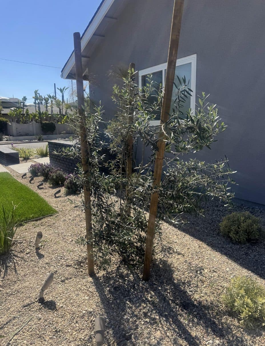 Landscaping project in University Park Estates