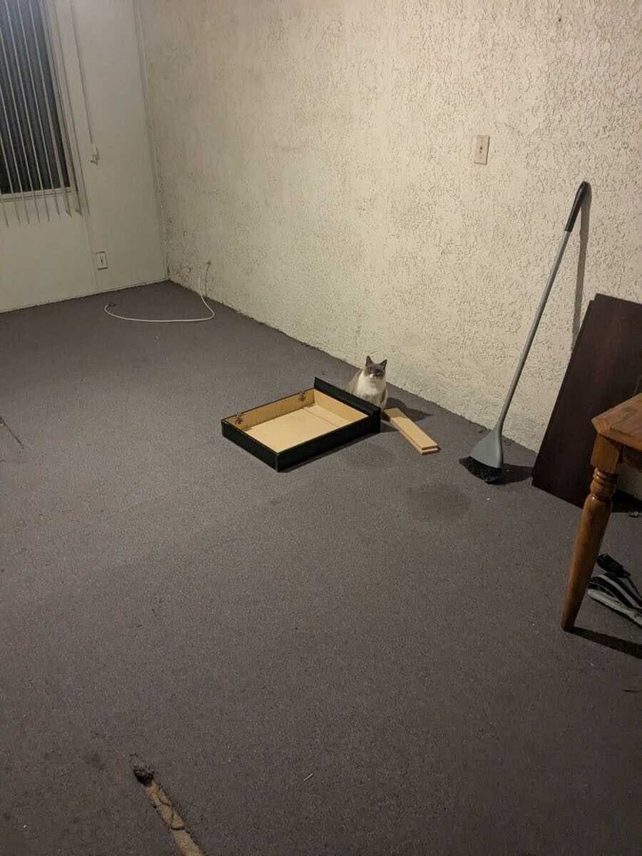 Flooring by Mikes Floors in Apartment Row (before)