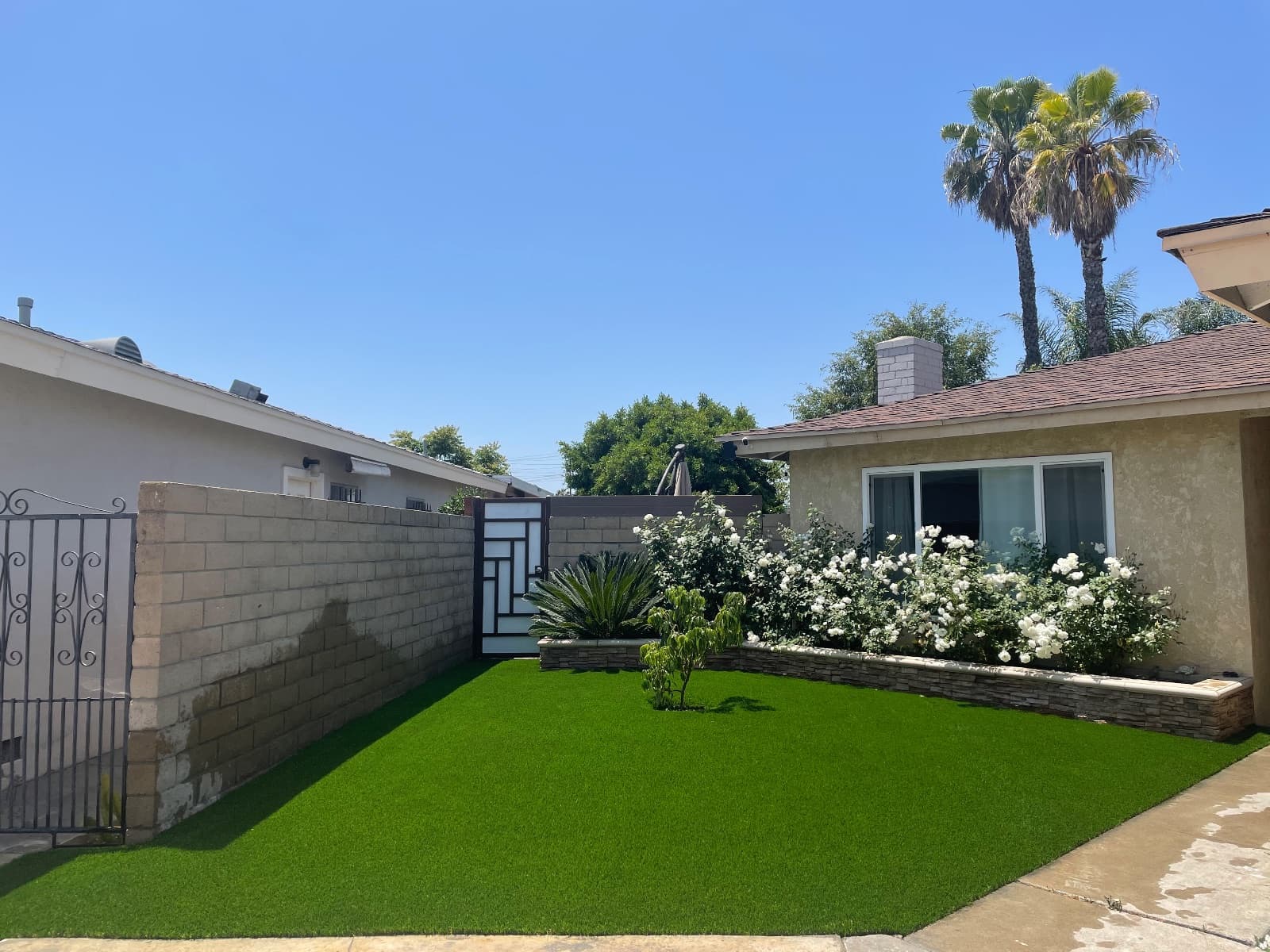 Turf by Always Green synthetic grass — photo 1 of 1