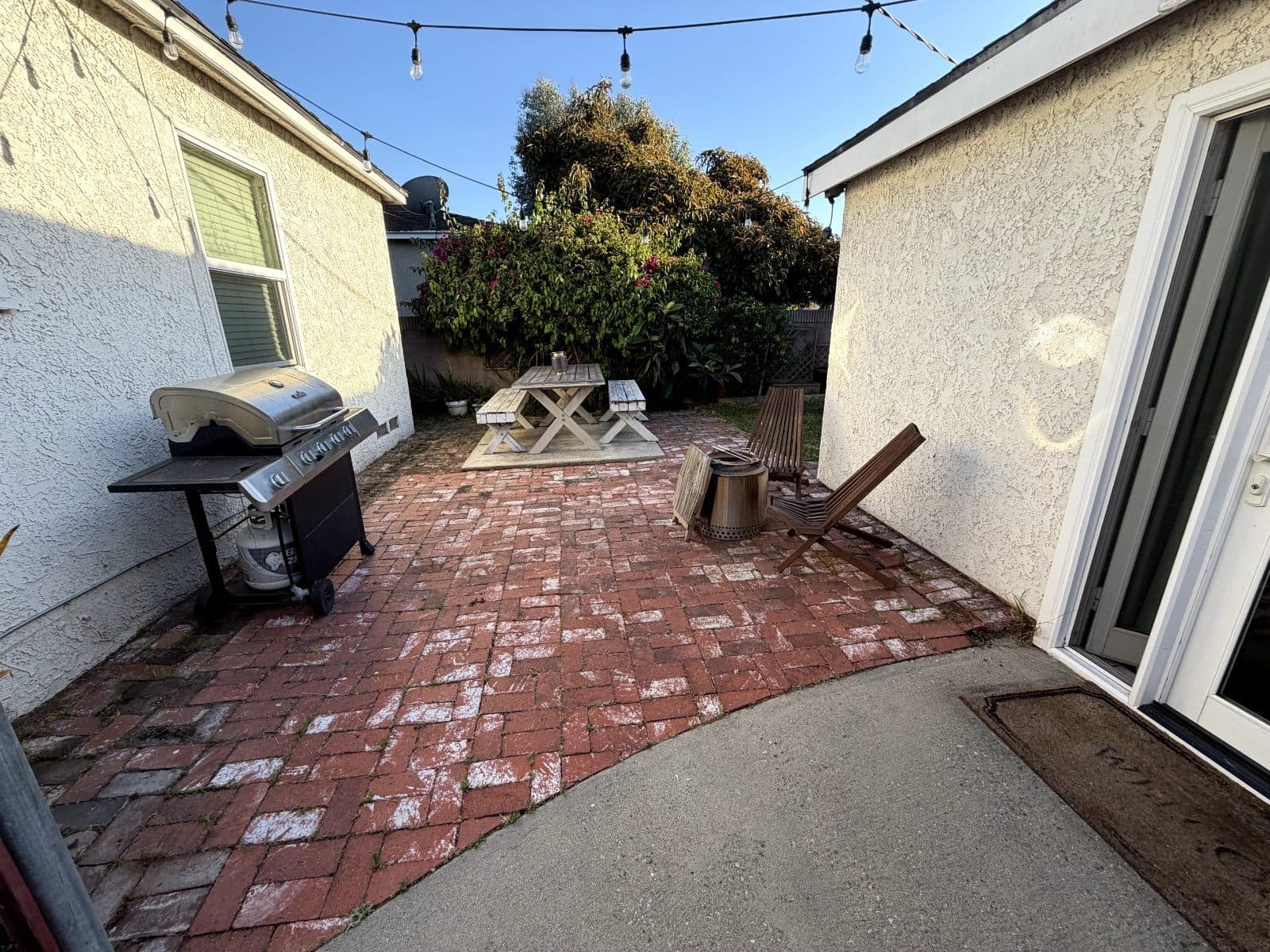 Richard vouches for Always Green Synthetic Grass — photo 5 of 6
