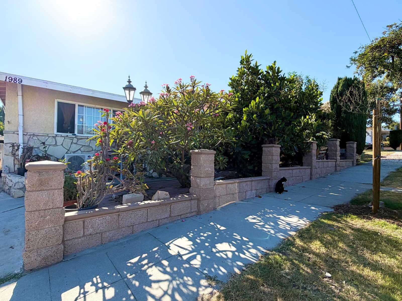 The Cat House — contractor project